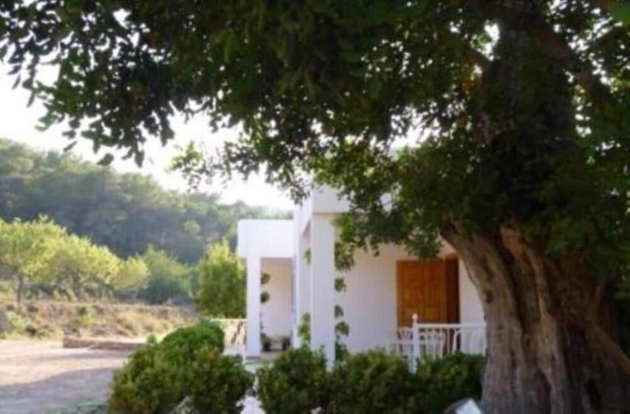Villa Ramon
